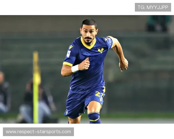 围绕维罗纳俱乐部崛起历程与意甲征战表现的深度观察与未来展望